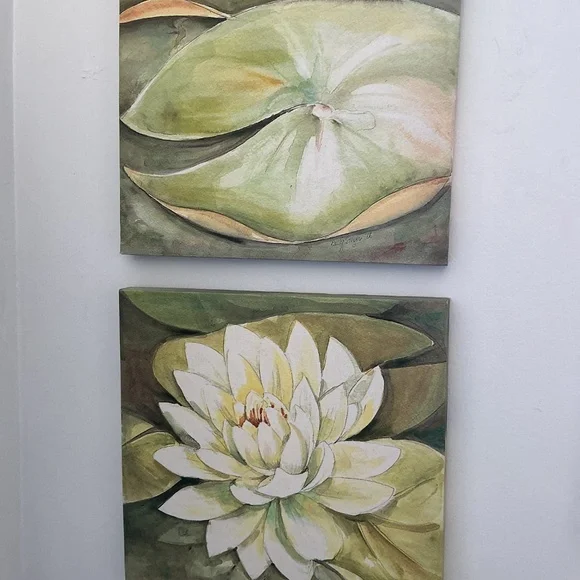 Lily Pad Pictures - Picture 2 of 9